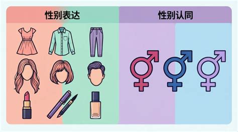 The Femboy Experiment Testing the Limits of Gender Expression