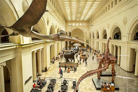 The Field Museum
