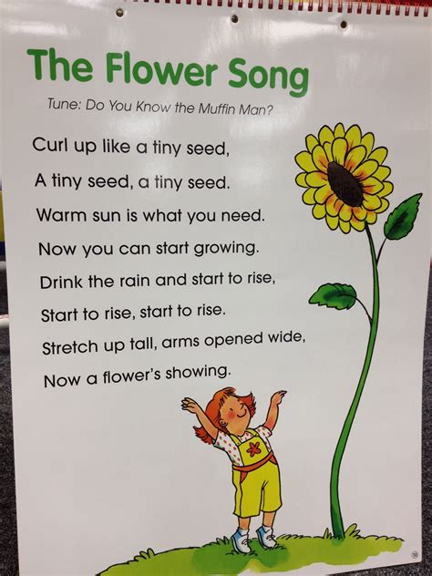 The Flower Song