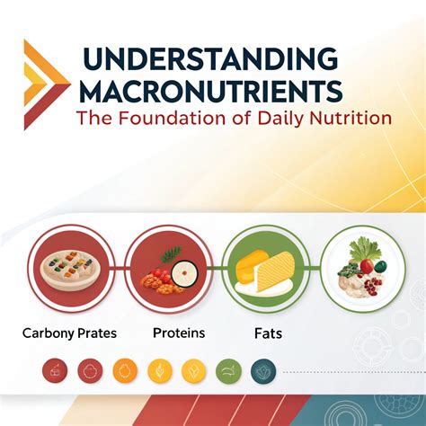 The Foundation: Understanding Macronutrients