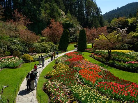 The Four Stages of Butchart