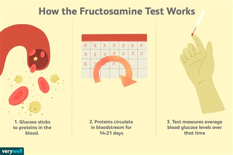 The Fructosamine Test