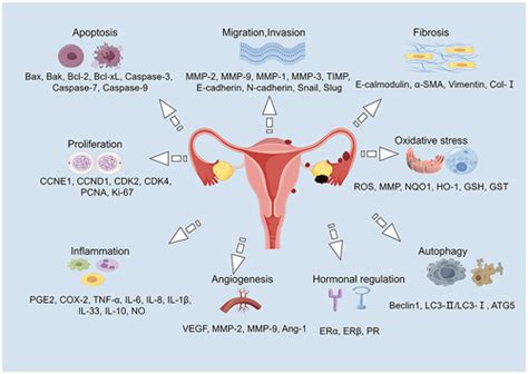 The Future of Endometriosis Research on NCBI