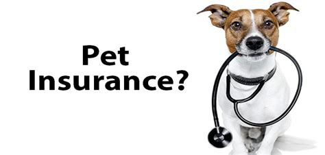 Image showcasing a futuristic concept of pet insurance