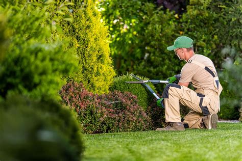 The Gardener Landscape Maintenance