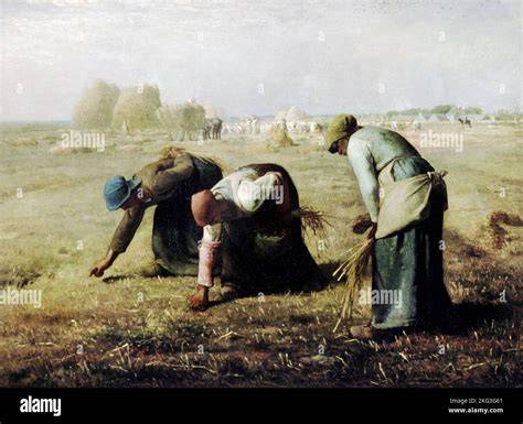 The Gleaners