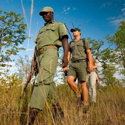 The Guided Experience