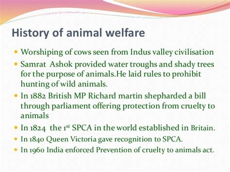 From Cruelty to Compassion: A Journey into Animal Welfare