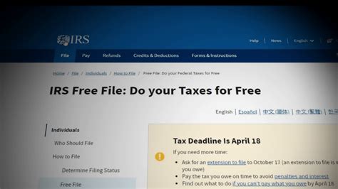 The IRS Free File Program: A Digital Lifeline