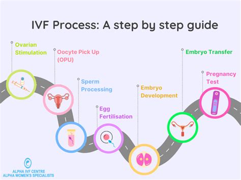 The IVF Process Step-by-Step