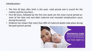 The Immediate Post-Natal Period