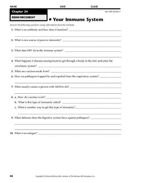 The Immune System Worksheet Answers