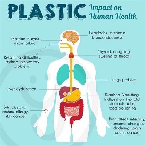 The Impact Of Plastic Containers On Hormonal Balance