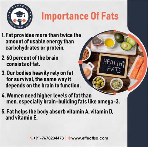 The Importance Of Healthy Fats For Brain Function