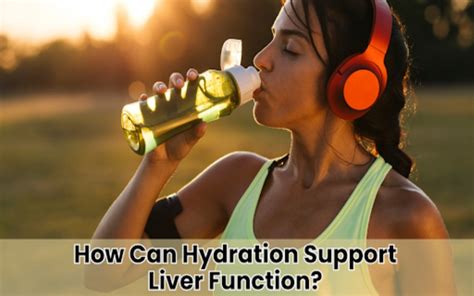 The Importance Of Hydration For Proper Liver Function