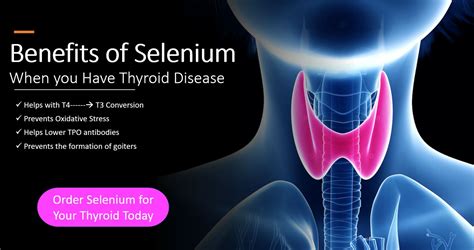 The Importance Of Selenium For Thyroid Function