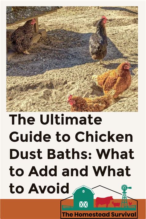 The Importance of Dust Baths