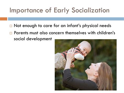 The Importance of Early Socialization