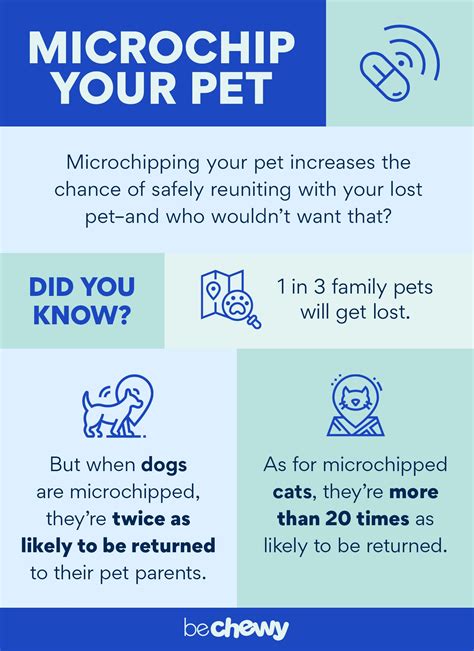 The Importance of Microchipping and Scanning