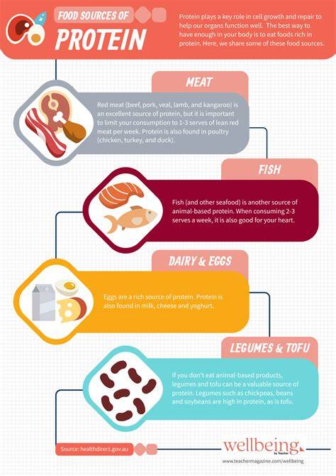 The Importance of Protein Sources