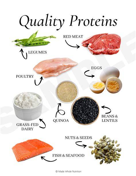 The Importance of Quality Protein Sources