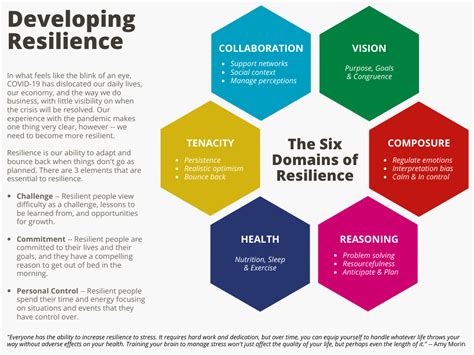 The Importance of Resilience Image