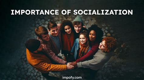 The Importance of Socialization
