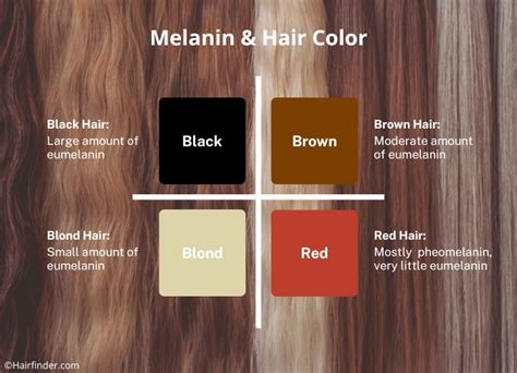 The Influence of Age on Natural Hair Color