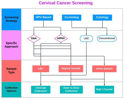 The Initial Diagnosis and Screening Process