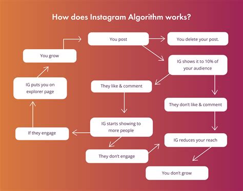 The Instagram algorithm