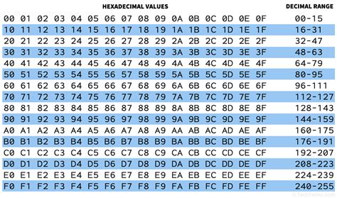 The Language of Digital Color: Hex and Decimal Values