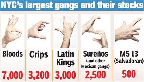 The Language of the Streets: A Comprehensive Guide to Gang Signs