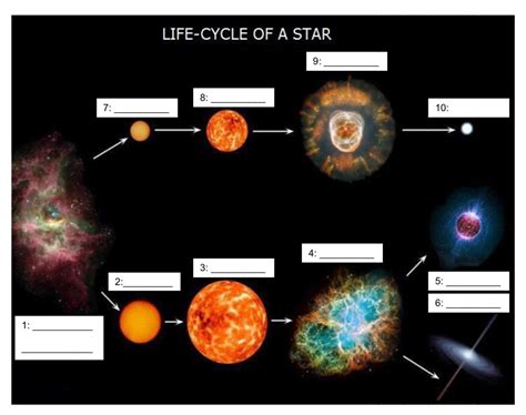 The Life Cycle Of Stars Worksheet