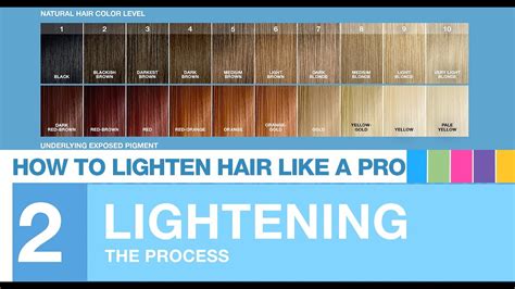 The Lightening Process
