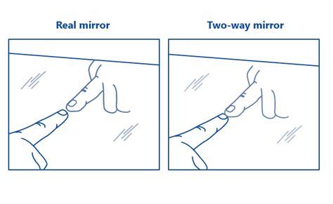 The Limitations of the Mirror Test