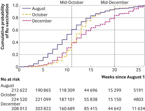 The Magic Window: Optimal Timing for Flu Vaccination