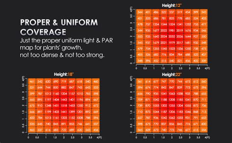 The Magic of the Extra Inch: 5X5 Coverage Explained