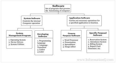 The Many Types of Software
