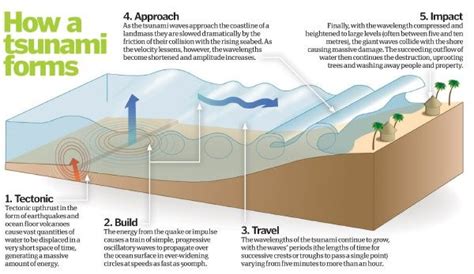 The Mechanism of Tsunami