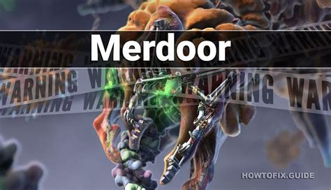 The Merdoor malware