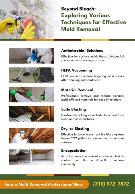 The Mold Remediation Process