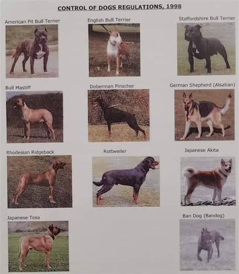 The Most Commonly Restricted Dog Breeds