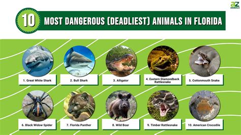 The Most Dangerous Name