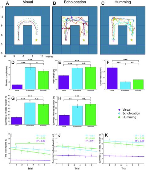 The Navigational Maze