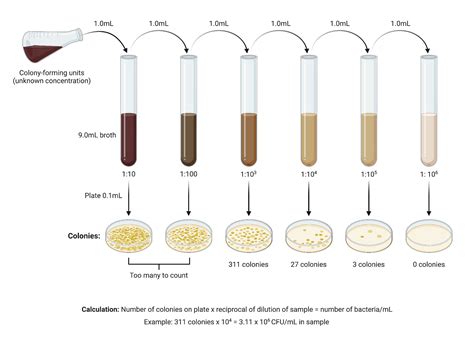The Number One Culprit: Improper Dilution