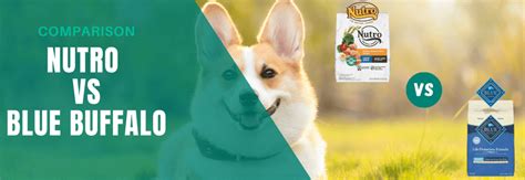 The Nutro Difference: Real Ingredients Matter