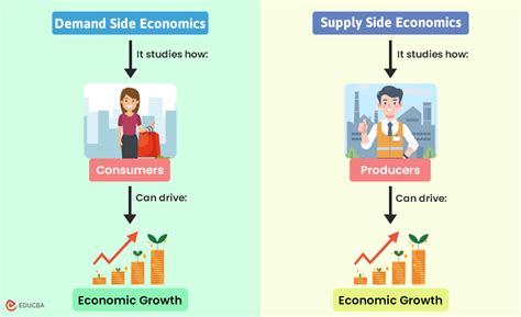 The OEV Market Dynamics