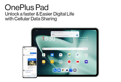 The OnePlus connection