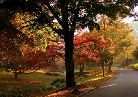 The Perfect Saturday Morning Destination