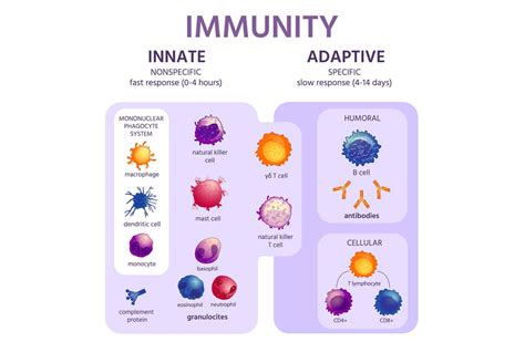 The Phenomenon of Natural Immunity